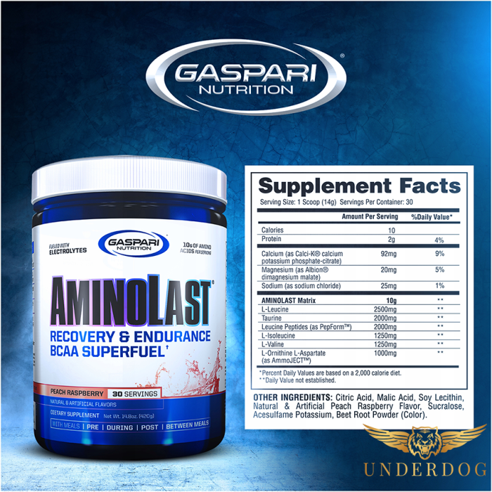 Gaspari Aminolast